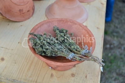 Basilicum dry herbs inside a pot