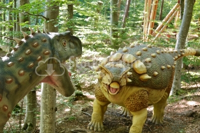 Battle between dinosaurs in Dino Parc in Rasnov, Romania