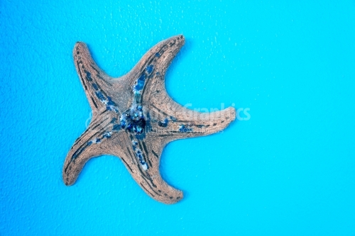 Blue decorated star fish
