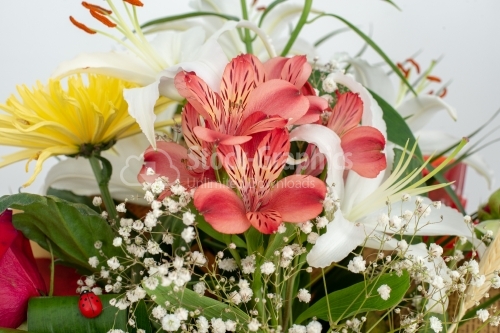 Bouquet of bright flowers isolated on white