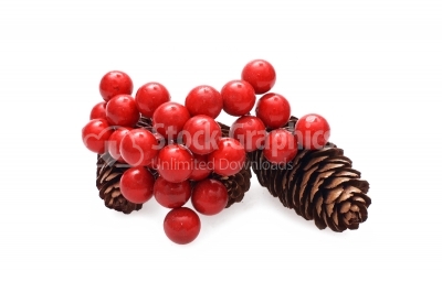Fir-cone on a white background with red berries