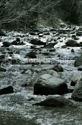 Flowing mountain stream with transparent water and stones on bot