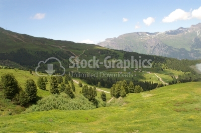 Fresh green grass with bright blue sky - Stock Image