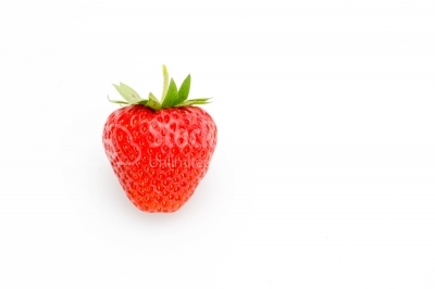 Fresh strawberry on white background focus