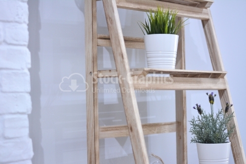 Houseplant on a wood ladder