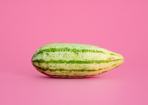 Melon on a pink background