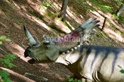Model of a dinosaur in Dino Parc in Rasnov, Romania