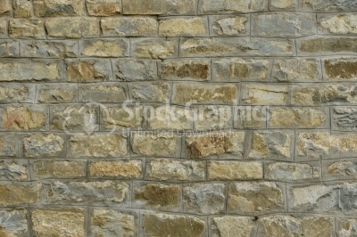 Old big stone wall textured background with green and yellow mol