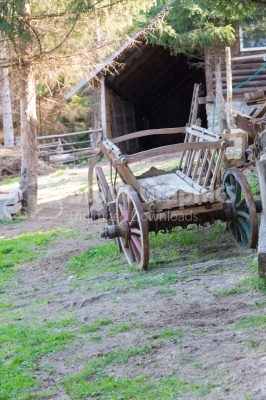 Old wooden animal cart