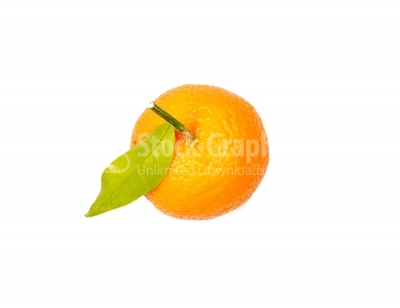 One tangerine with leaf on a white background.