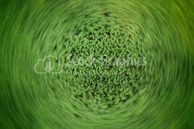 Radial motion moss texture