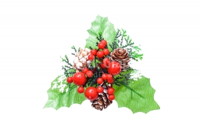 Sprig of Holly with leaves and ripe berries isolated against white