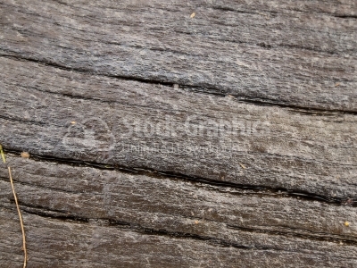 Wood Background 