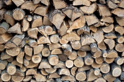 Woodpile - Stock Image