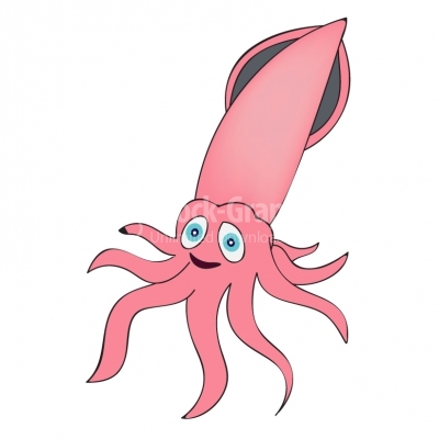 Cute pink cuttlefish