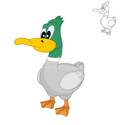 Duck - Illustration