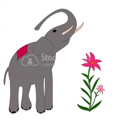 Elephant - Illustration