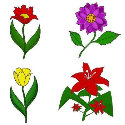 Flower Illustration Set