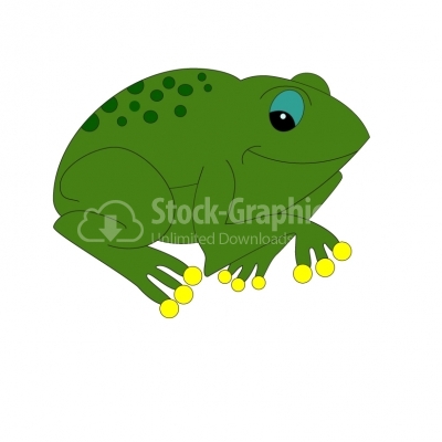 Frog - Illustration