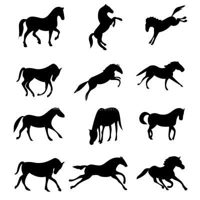Horse Silhouette Collection - Illustration