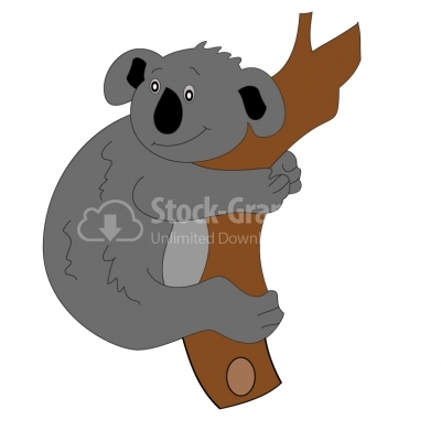 Koala - Illustration
