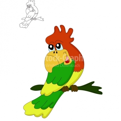 Parrot - Illustration