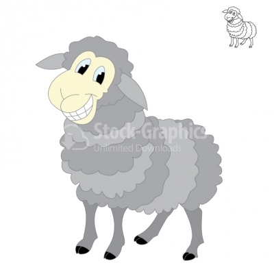 Sheep - Illustration