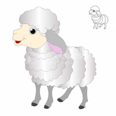 Sheep Cartoon - Illustration
