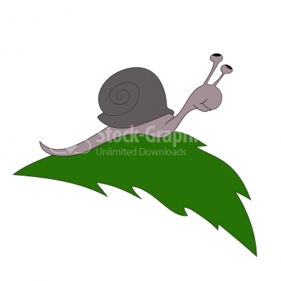 Snail on green leaf - Illustration