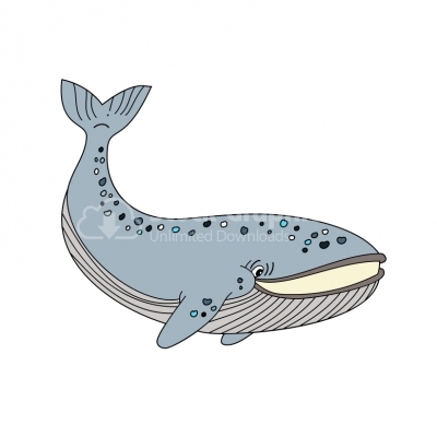 Whale Cartoon - Illustration