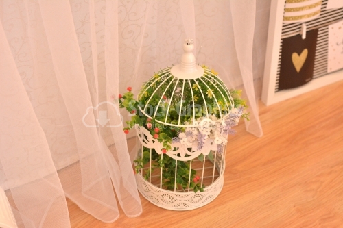 Bird cage for a wedding arrangements
