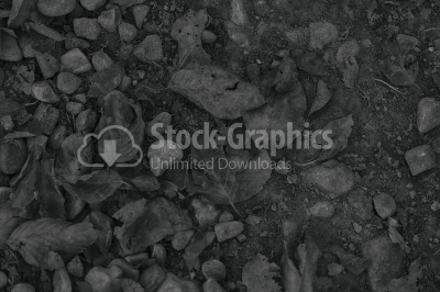 Black and white leaves background