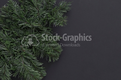 Christmas background. Fir-tree branches on black with copyspace.