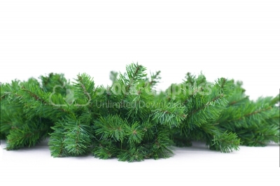 Christmas tree branches on a white floor