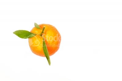 Clementine isolated. mandarin. orange. tangerine