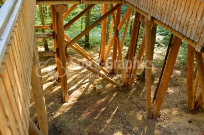 Construction of a wooden house in the woods.