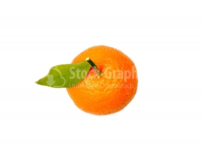 Corsican clementines isolated on white
