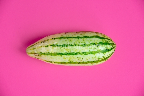 Cucumber isolated on a pink background
