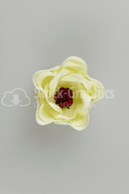 Decorative yellow flower image 
