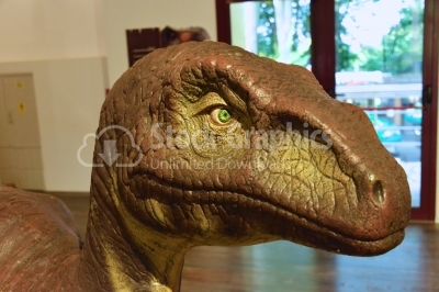 Dinosaur sculpture display in the park