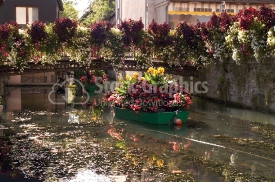Flower boat floating in water