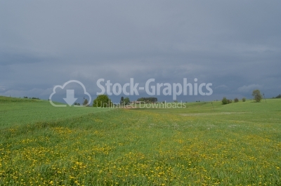 Fresh green grass with bright blue sky - Stock Image