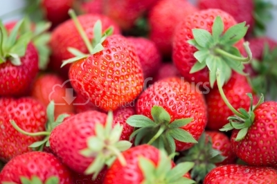Fresh, ripe, red strawberries