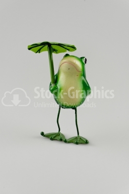 Frog with umbrella image