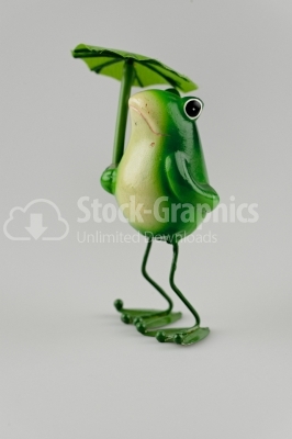 Frog with umbrella photo