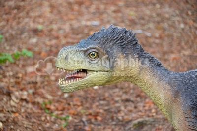 Head dinosaur in Dino Parc in Rasnov, Romania