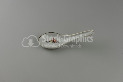 Isolated Chinese Spoon - Stock Image
