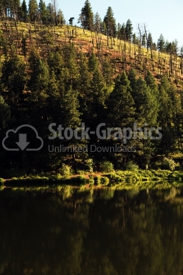 Landscape with forest mountains and lake