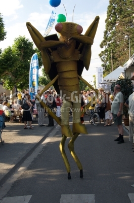 Man dressed in insects