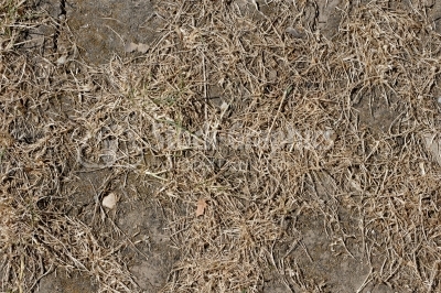 Natural dirt grunge texture